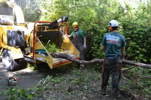 tree services Luthersville